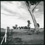 Gate to neighbours property and our old grain sheds