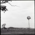 The windmill bringing the water up from the bore