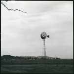 The windmill bringing up the bore water which was of excellent drinking water quality