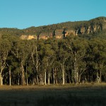 Field, trees, cliffs